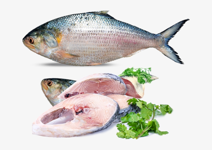 Best Hilsa  delivery in patna-chickenwala