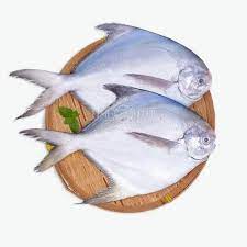 Best Pomfret delivery in patna-chickenwala